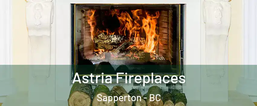  Astria Fireplaces Sapperton - BC