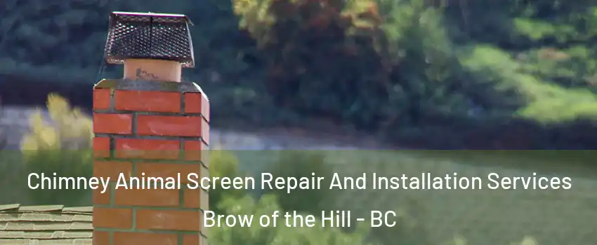  Chimney Animal Screen Repair And Installation Services Brow of the Hill - BC