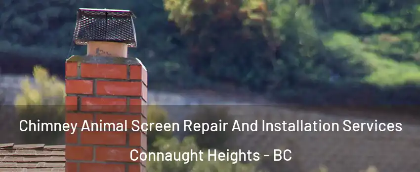  Chimney Animal Screen Repair And Installation Services Connaught Heights - BC