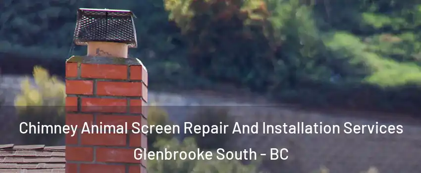  Chimney Animal Screen Repair And Installation Services Glenbrooke South - BC