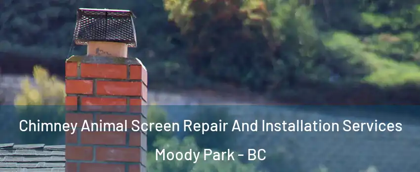  Chimney Animal Screen Repair And Installation Services Moody Park - BC