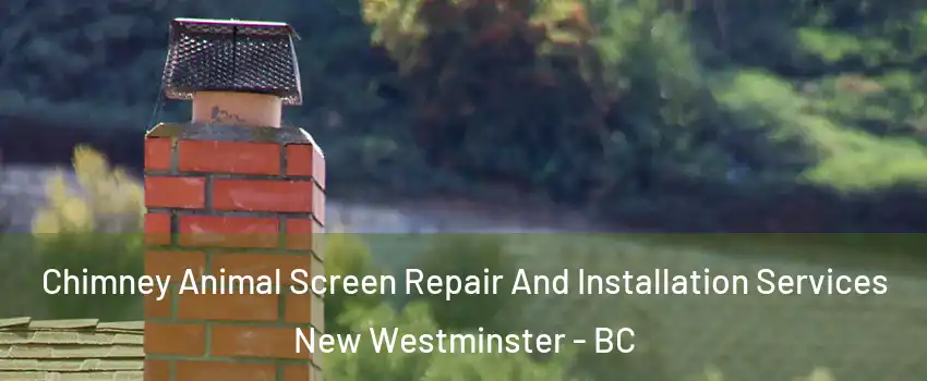  Chimney Animal Screen Repair And Installation Services New Westminster - BC