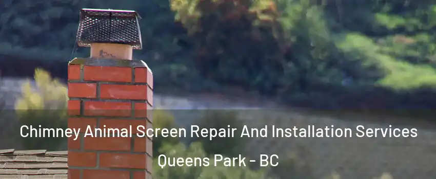  Chimney Animal Screen Repair And Installation Services Queens Park - BC