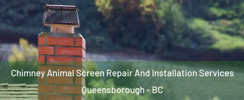  Chimney Animal Screen Repair And Installation Services Queensborough - BC