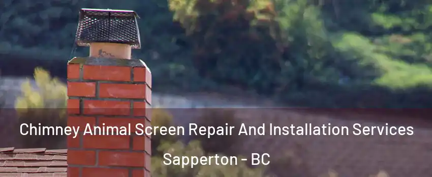  Chimney Animal Screen Repair And Installation Services Sapperton - BC