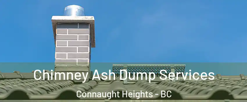  Chimney Ash Dump Services Connaught Heights - BC