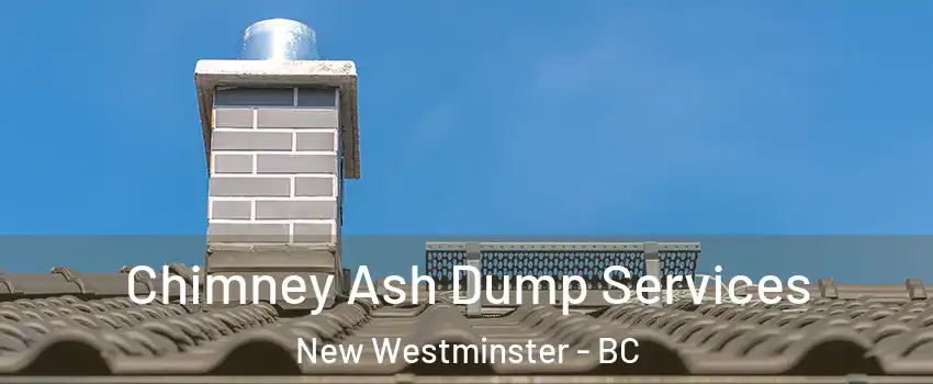  Chimney Ash Dump Services New Westminster - BC