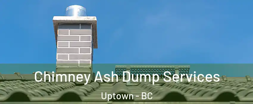  Chimney Ash Dump Services Uptown - BC
