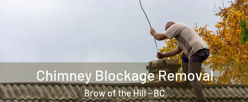  Chimney Blockage Removal Brow of the Hill - BC