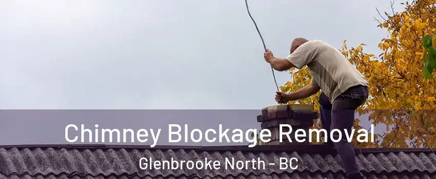  Chimney Blockage Removal Glenbrooke North - BC