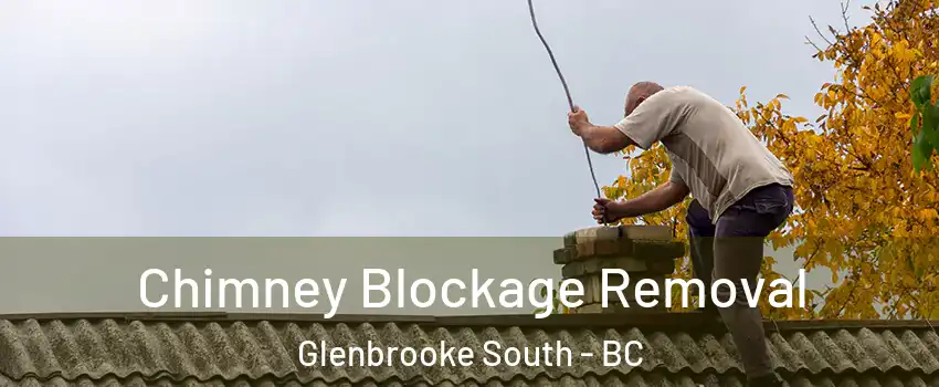  Chimney Blockage Removal Glenbrooke South - BC