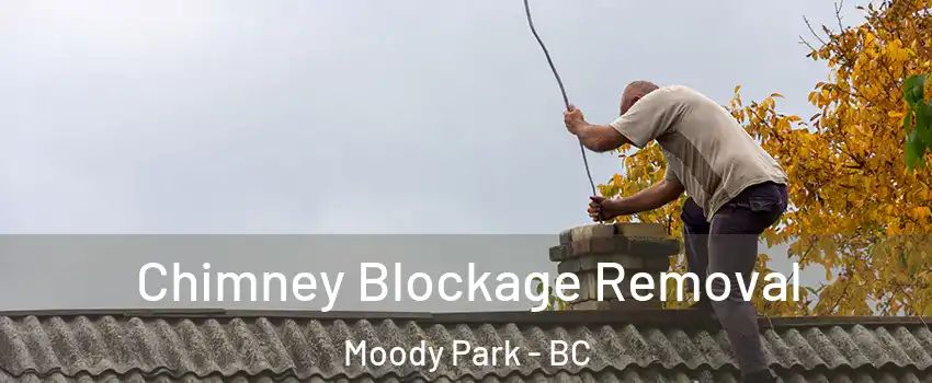  Chimney Blockage Removal Moody Park - BC