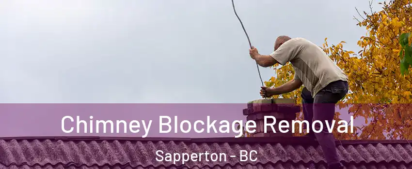  Chimney Blockage Removal Sapperton - BC