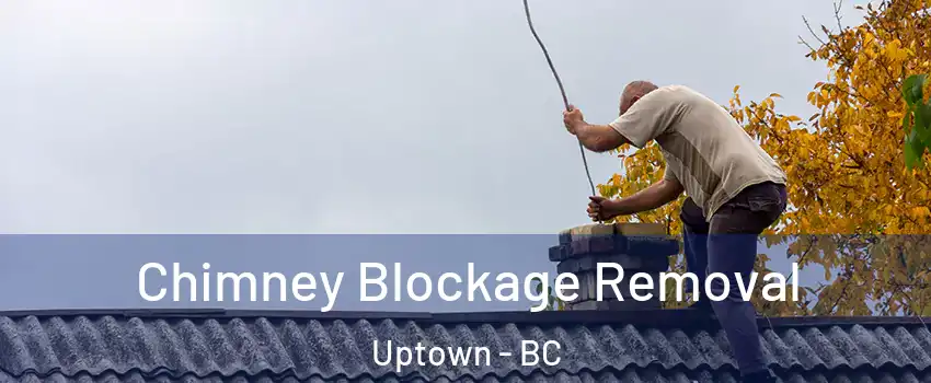  Chimney Blockage Removal Uptown - BC