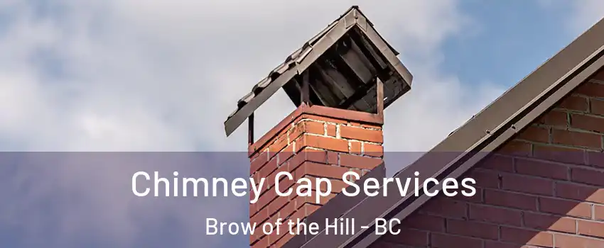 Chimney Cap Services Brow of the Hill - BC