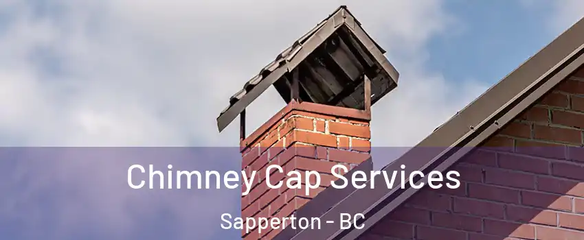  Chimney Cap Services Sapperton - BC