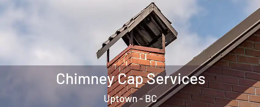  Chimney Cap Services Uptown - BC