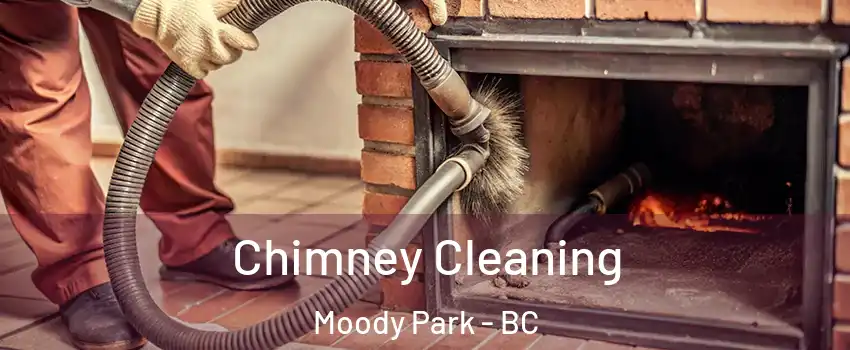  Chimney Cleaning Moody Park - BC