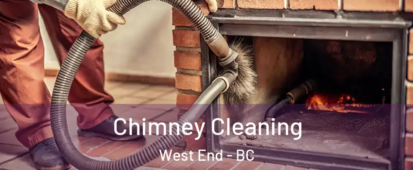  Chimney Cleaning West End - BC
