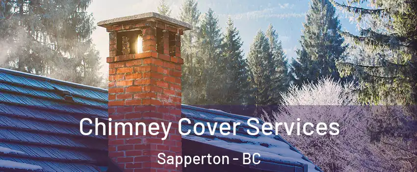  Chimney Cover Services Sapperton - BC