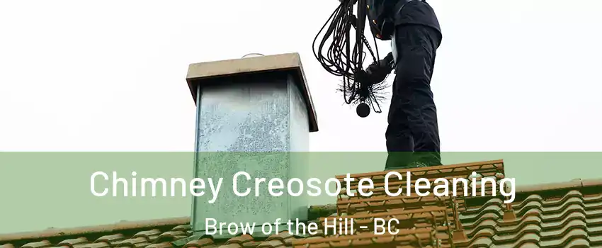  Chimney Creosote Cleaning Brow of the Hill - BC