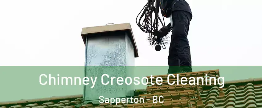  Chimney Creosote Cleaning Sapperton - BC