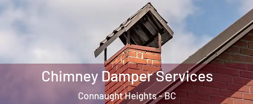  Chimney Damper Services Connaught Heights - BC