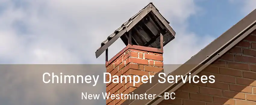  Chimney Damper Services New Westminster - BC