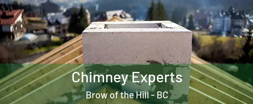 Chimney Experts Brow of the Hill - BC