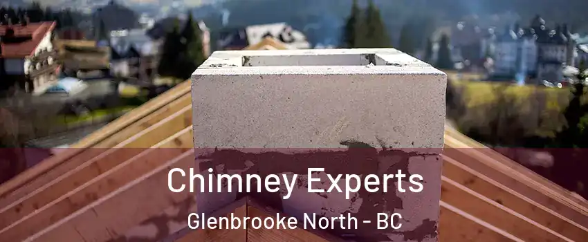Chimney Experts Glenbrooke North - BC