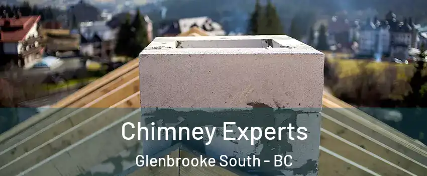 Chimney Experts Glenbrooke South - BC