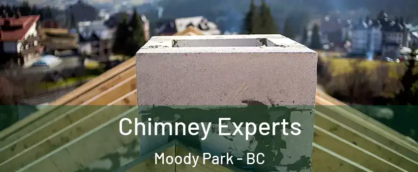 Chimney Experts Moody Park - BC