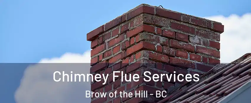 Chimney Flue Services Brow of the Hill - BC