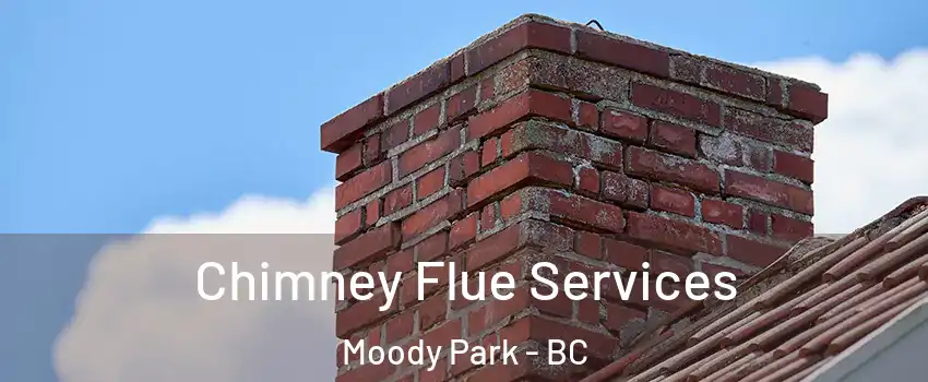  Chimney Flue Services Moody Park - BC