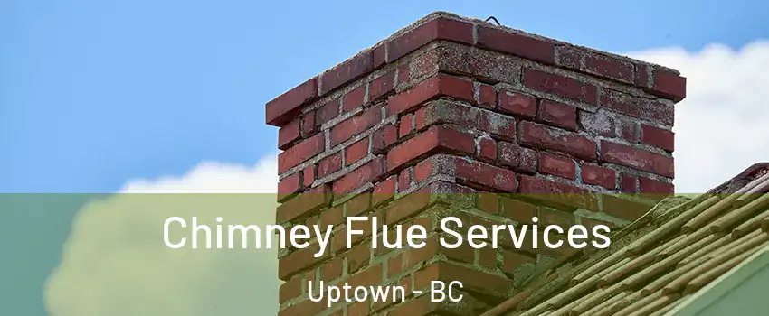  Chimney Flue Services Uptown - BC