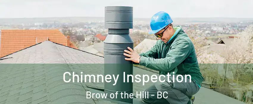  Chimney Inspection Brow of the Hill - BC