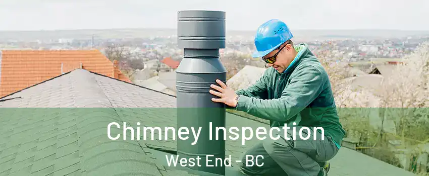  Chimney Inspection West End - BC