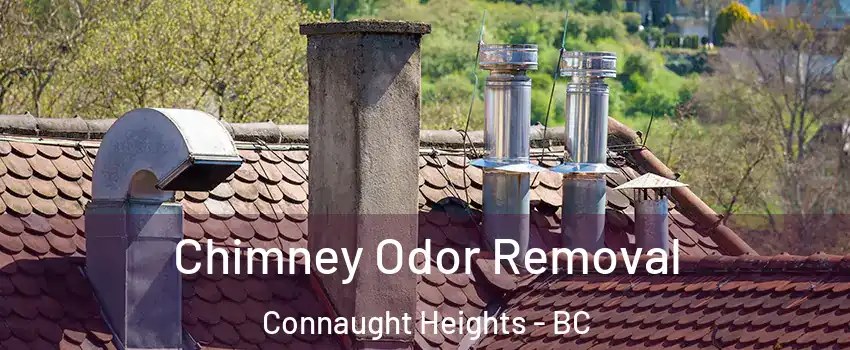  Chimney Odor Removal Connaught Heights - BC