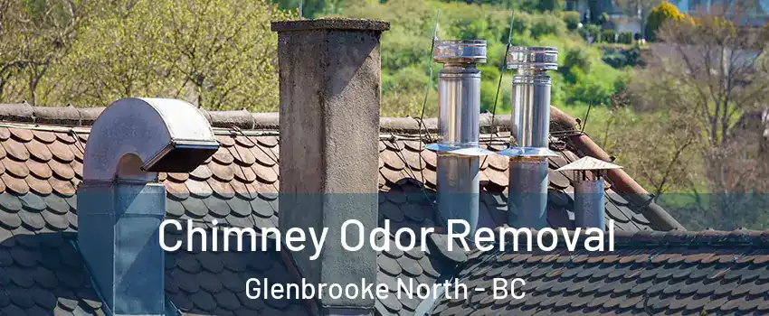  Chimney Odor Removal Glenbrooke North - BC