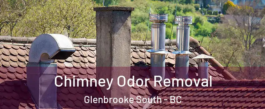  Chimney Odor Removal Glenbrooke South - BC