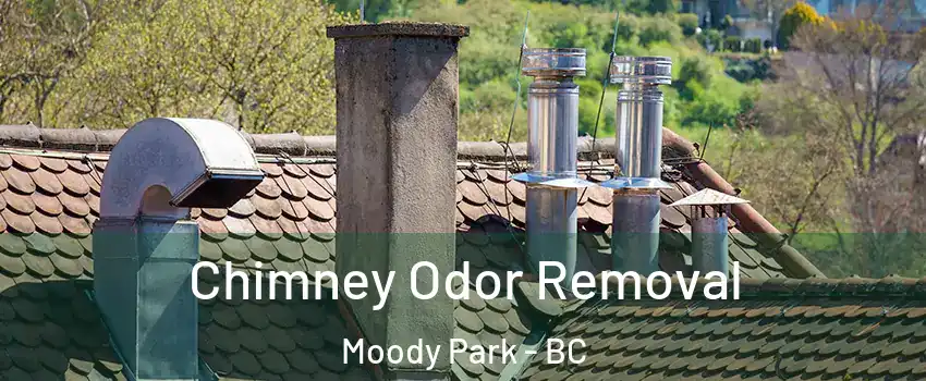  Chimney Odor Removal Moody Park - BC