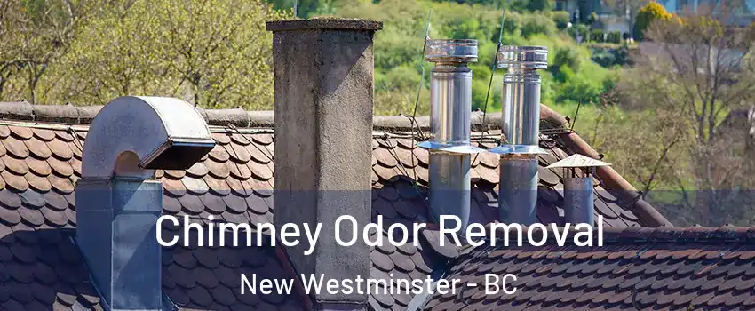  Chimney Odor Removal New Westminster - BC