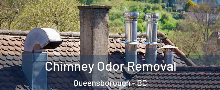  Chimney Odor Removal Queensborough - BC