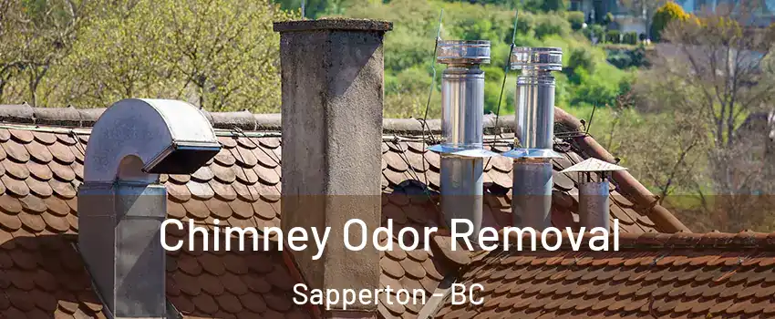  Chimney Odor Removal Sapperton - BC