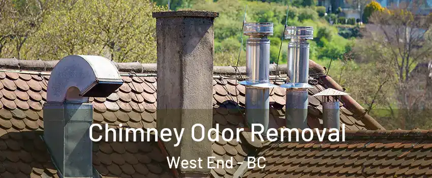  Chimney Odor Removal West End - BC