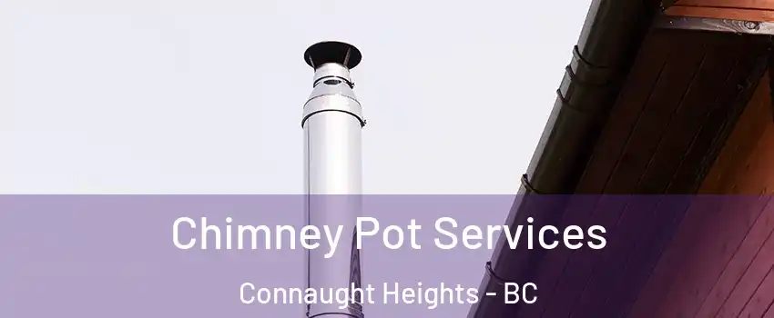  Chimney Pot Services Connaught Heights - BC