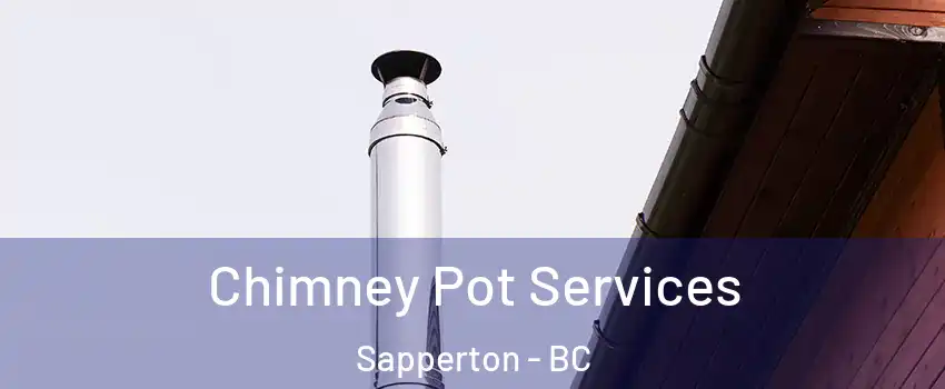  Chimney Pot Services Sapperton - BC
