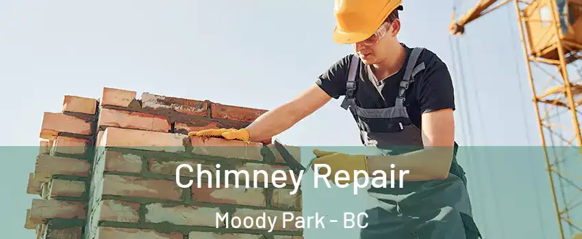  Chimney Repair Moody Park - BC