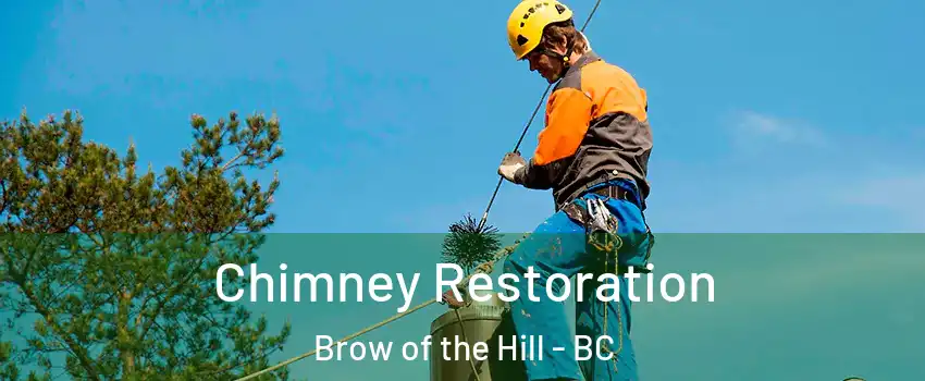  Chimney Restoration Brow of the Hill - BC