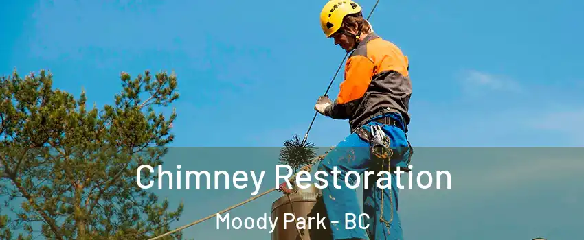  Chimney Restoration Moody Park - BC